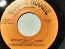 Handsome Jimmy Valiant - Son Of A Gypsy - Boogie Woogie Man NWA Wrestler (A199)