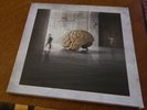 Hemispheres (40th Anniversary Box Set) by Rush (Record, 2018) NM