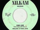 Funk Psych 45 - Holzer & Pure Love - Pure Love - Nilkam - mp3
