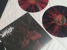 Dead Will Rise Wax Vessel 100 Splater