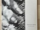 Cocteau Twins Blue Bell Knoll LP first pressing great condition