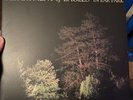Department Of Eagles - In Ear Park 4AD CAD 2818 2 x Vinyl LP 2008 Grizzly Bear