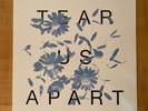 Anberlin Tear Us Apart Vinyl Album LP Live Lockdown Livestream
