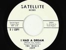 Northern Soul 45 - Ideals - I Had A Dream - Satellite - VG+ mp3