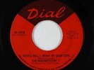 Northern Soul 45 - Magnificent 7 - Never Will I (Make My Baby Cry) - Dial - mp3