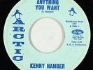 Northern/Deep Soul 45 - Kenny Hamber - Anything You Want - Arctic - mp3