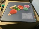 Brand New Sealed Peter Gabriel New Blood Live In London 4 Disc Deluxe Boxset.
