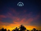 Lewis Taylor - The Lost Album [New Vinyl LP]