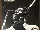 MUDDY WATERS Down on Stovall's Plantation - 1970 Pressing Testament LP - EX DISC