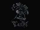Tenhi - Collected Works 2023 [New Vinyl LP] Black, Ltd Ed, Boxed Set