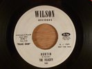 The Felicity Hurtin/I'll Try It  Promo RARE Garage, Psych Pre Eagles Don Henley