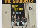 The Standells   The Boy Next Door   45 rpm VJ 643  Picture Sleeve Only VERY RARE