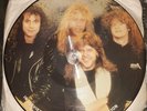 Metallica Vinyl Picture Disc Interview 1989 Limited Edition BAK 2066 Excellent