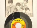 The Beatles CANT BUY ME LOVE/YOU CANT DO THAT Capitol 5150 RARE Picture Sleeve
