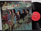 BLUES MAGOOS 1966 PSYCH, GARAGE ORIGINAL LP PSYCHEDELIC LOLLIPOP NEAR MINT NR