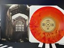 The Devil Wears Prada ZII Exclusive DNA Variant Red/Yellow 10