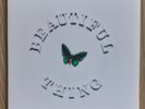 The Stone Roses Beautiful Thing limited edition 12