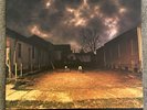 the gutter twins / saturnalia / 2008 Vinyl NM-/ VG+ Sleeve/ Lanegan Afghan Whigs