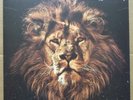 John Butler Trio - April Uprising - JARRAH Vinyl Record 2010 (2-LP) SUPERB