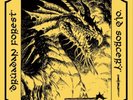 Druadan Forest/Old Sorcery Split (Vinyl) 12