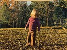 The Allman Brothers Band Brothers And Sisters (Vinyl) 12