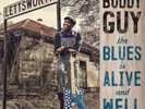 Buddy Guy The Blues Is Alive and Well (Vinyl) 12