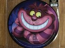 Alice in Wonderland (Songs From the Motion Picture) RARE vinyl Picture Disc NEW