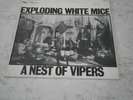 EXPLODING WHITE MICE - A NEST OF VIPERS