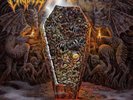 Crypta Echoes of the Soul (Vinyl) 12