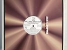 1996 - LARGE PROFESSOR - I JUSWANNACHILL / THE MAD SCIENTIST REMIX - OG PROMO