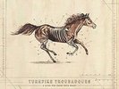 Turnpike Troubadours A Long Way from Your Heart (Vinyl) 12