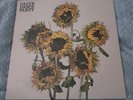 CAJUN DANCE PARTY - THE COLOURFUL LIFE - INDIE ROCK LP