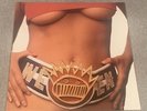 Ween Chocolate and Cheese 2009 Plain Recordings Black Vinyl VG+
