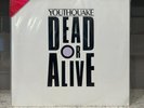 DEAD OR ALIVE - YOUTHQUAKE - JAPANESE LP + G/FOLD INSERT - PROMO Picture Disc