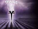 Trouble The Distortion Field (Vinyl) 12