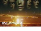 The Cardigans – Gran Turism - [NEW & SEALED] 12