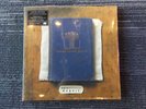 Frightened Rabbit PEDESTRIAN VERSE Blue/Black Colored Vinyl 2 LP sealed