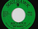 Northern Soul 45 NEW HOLIDAYS Maybe So Maybe No/If I Only Knew on Soulhawk green