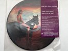 Red Hot Chilli Peppers 45 RPM Vinyl Picture Disc DANI CALIFORNIA 2006 Limited Ed