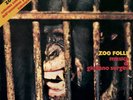 ZOO FOLLE - GIULIANO SORGINI - Vinyl LP - Four Flies Records