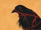 Death Cab for Cutie - Transatlanticism (20th Anniversary) NEW Sealed Vinyl