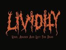 Lividity Used,Abused and Left for Dead (Vinyl)