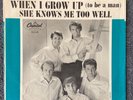 Beach Boys - When I Grow Up To Be A Man 1964 45rpm w/Pic Sleeve Near Mint Vinyl