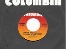 BRUCE SPRINGSTEEN Blinded By The Light on Columbia RARE ISSUE COPY  45 HEAR