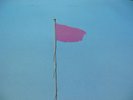 Punk / New Wave - The DEBUT LP of WIRE: PINK FLAG - Ed1  UK Press in Excellent