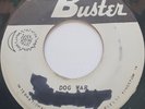 45 SKA / THE MAYTALS / DOG WAR / PRINCE BUSTER
