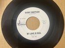 Buddy Sheppard & Holidays DOOWOP 45 My Love Is Real / Time To Dream DJ VG++ HEAR