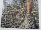siouxsie and the banshees juju vinyl
