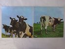 Pink Floyd Atom Heart Mother Harvest EMS-80320 Japan  VINYL LP