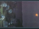 KVIST FOR KUNSTEN MAA VI EVIG VIKE NEW LP